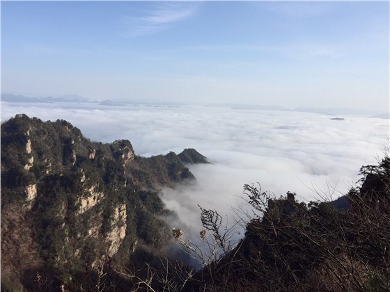 佛山天美注册